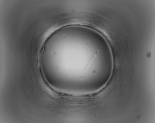 X0000092211371200709281014