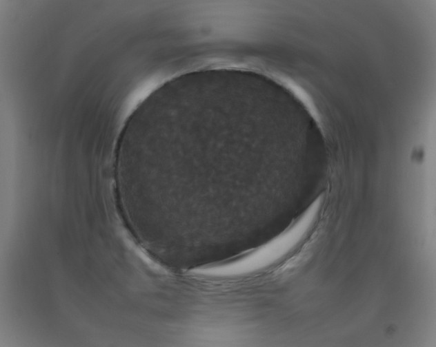 X0000092211373200709281014