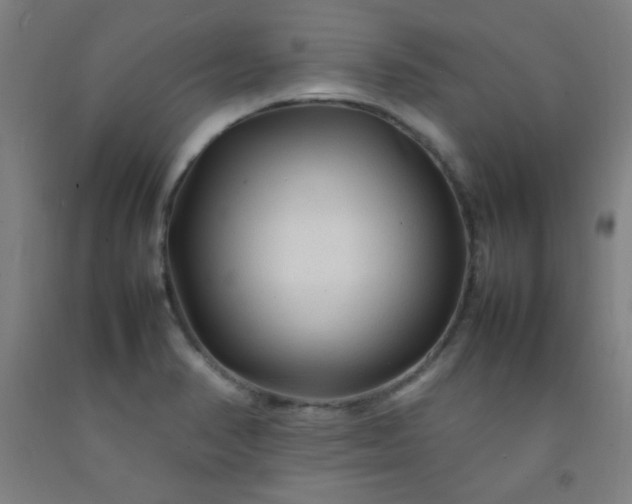 X0000092211374200709281014