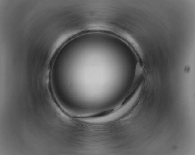 X0000092211376200709281014