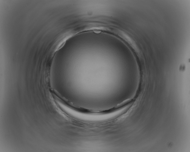 X0000092211377200709281014