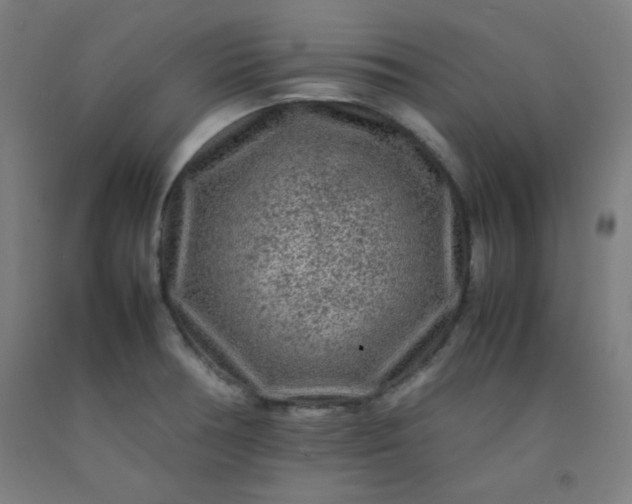 X0000092211378200709281014