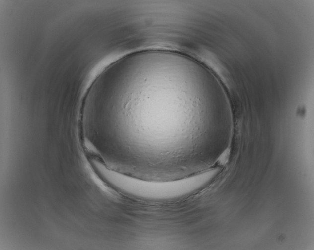 X0000092211379200709281014