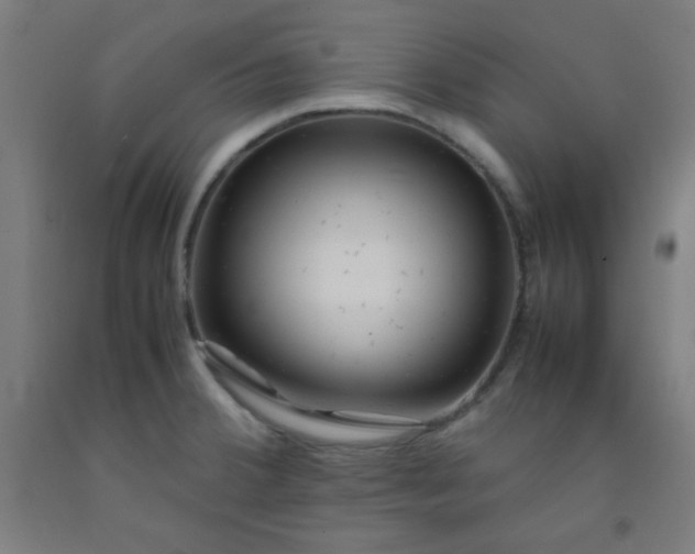 X0000092211380200709281014