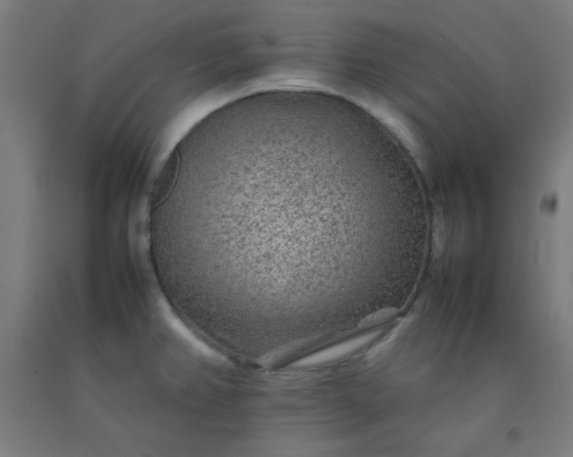 X0000092211382200709281014