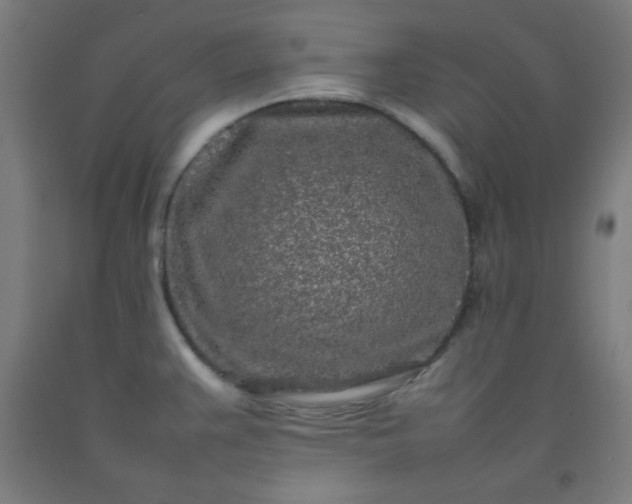 X0000092211383200709281014