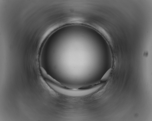 X0000092211384200709281014