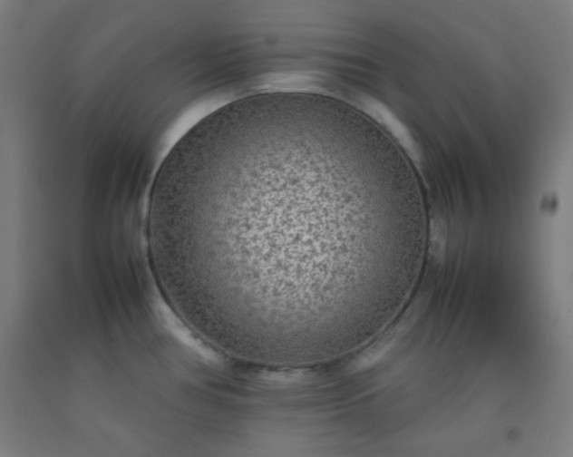 X0000092211386200709281014