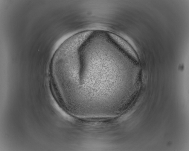 X0000092211387200709281014