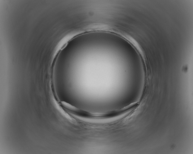 X0000092211389200709281014