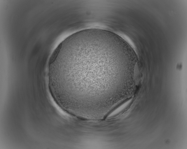 X0000092211391200709281014