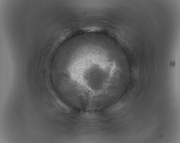 X0000092211393200709281013