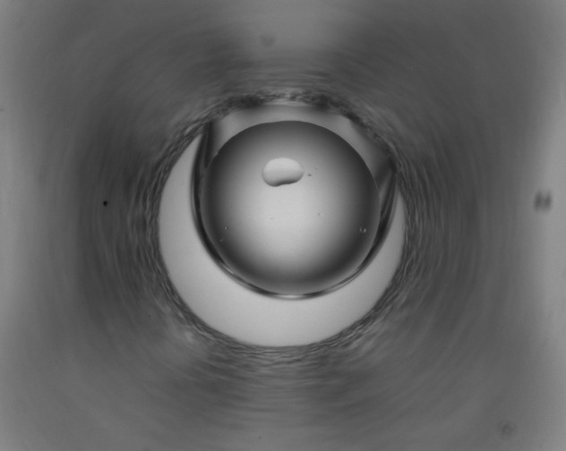 X0000092211394200709281013