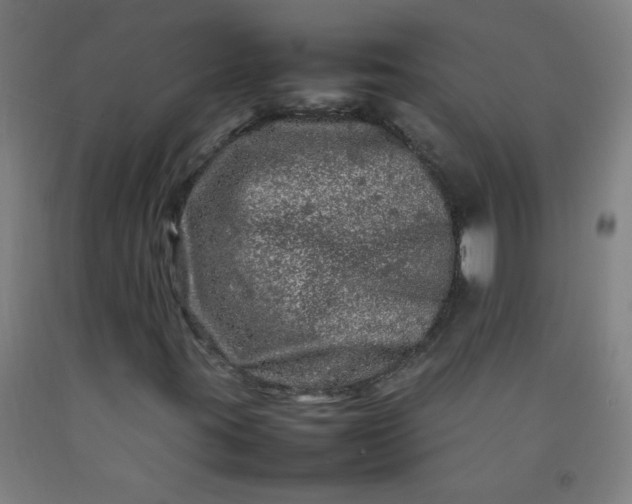 X0000092211395200709281013