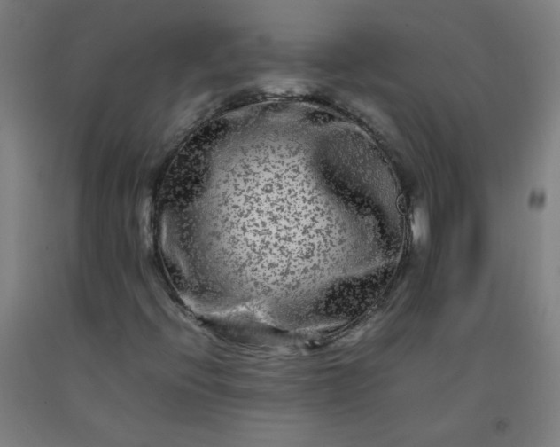 X0000092211396200709281013