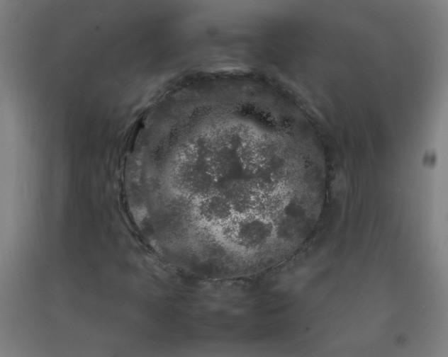 X0000092211397200709281013