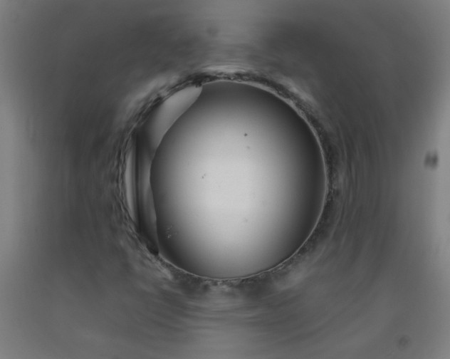 X0000092211398200709281013