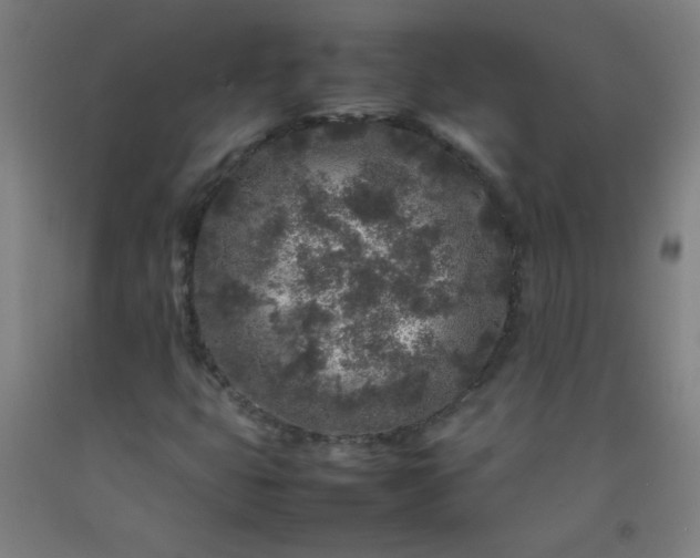 X0000092211399200709281013