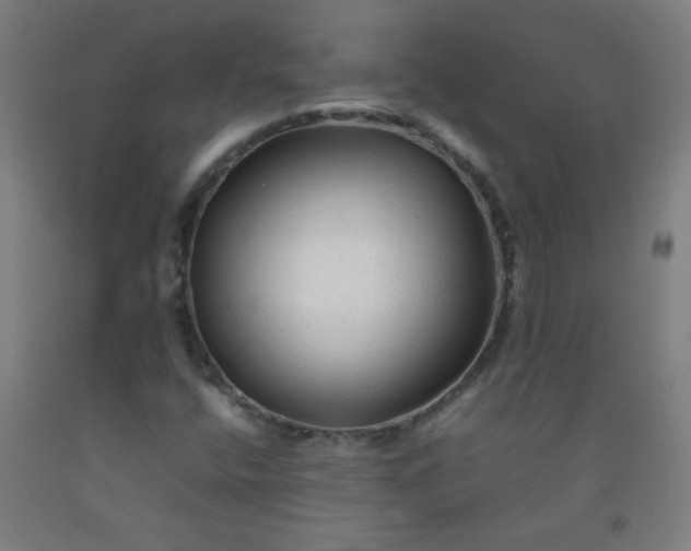 X0000092211400200709281013