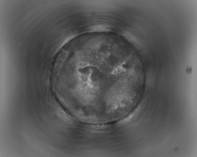 X0000092211401200709281013