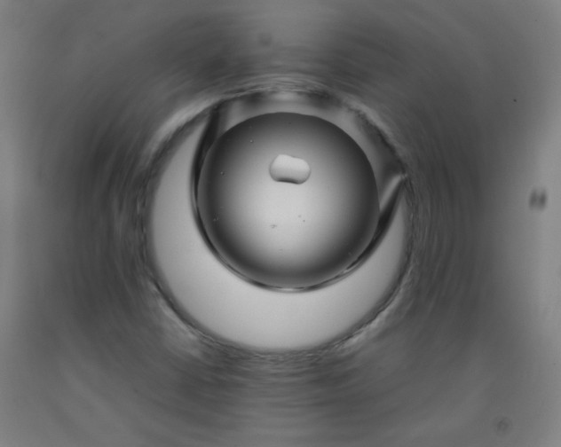 X0000092211402200709281013