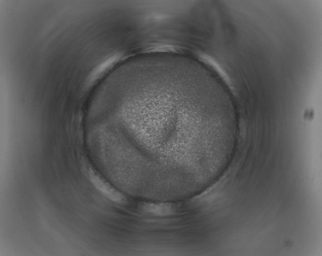 X0000092211403200709281013