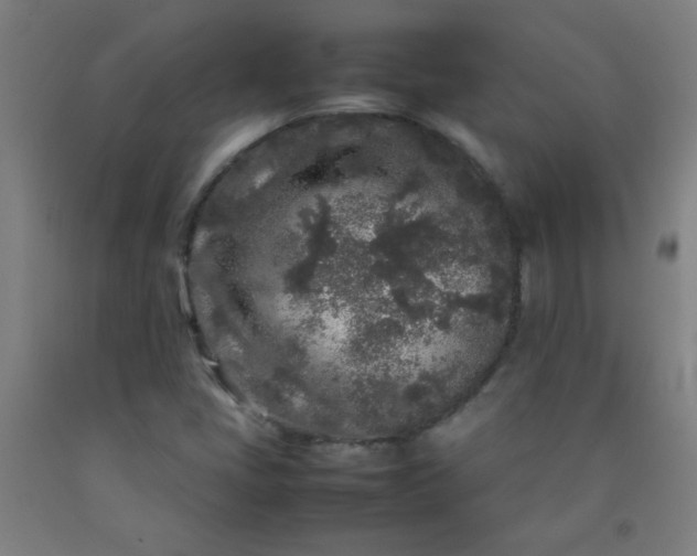 X0000092211405200709281013