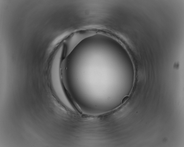 X0000092211406200709281013