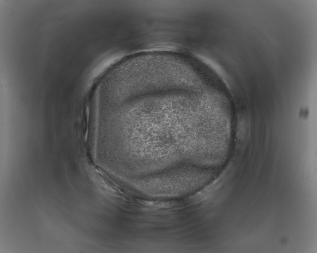 X0000092211407200709281013