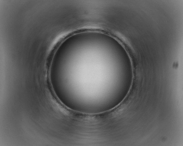 X0000092211408200709281013