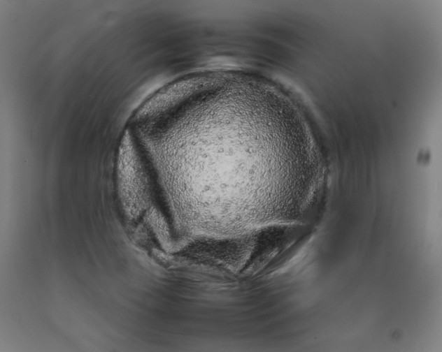 X0000092211409200709281013