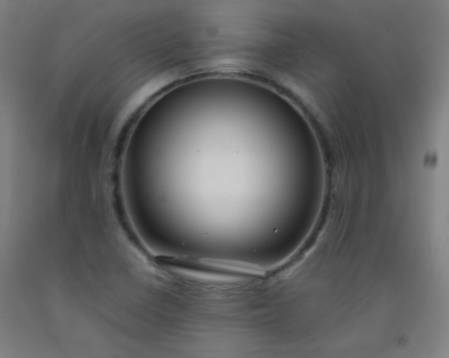 X0000092211410200709281013