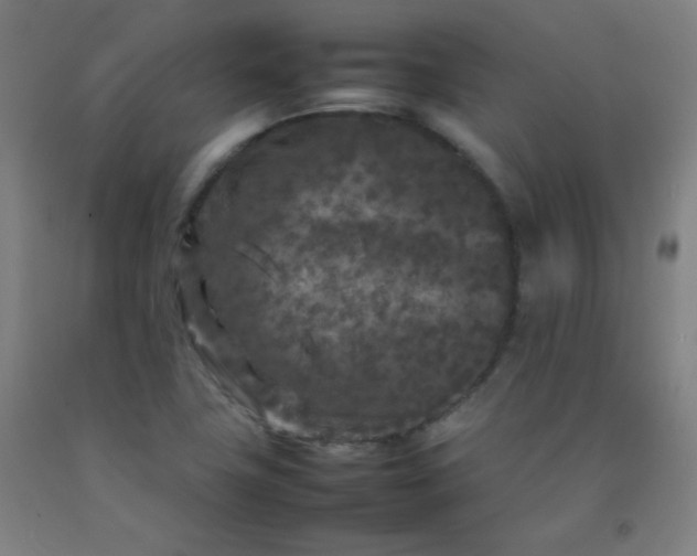 X0000092211411200709281013