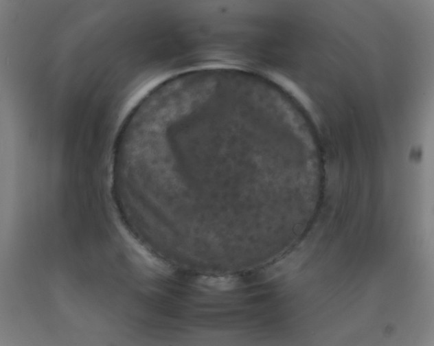 X0000092211415200709281013