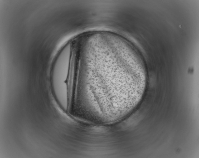 X0000092211416200709281013