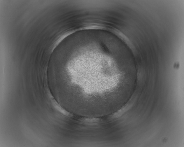 X0000092211417200709281013