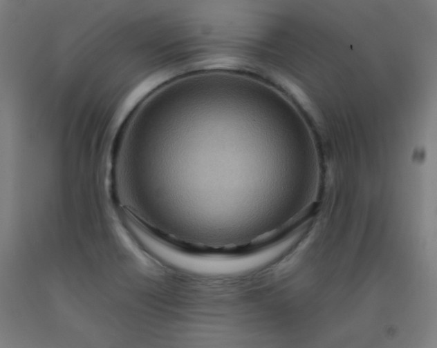 X0000092211418200709281013