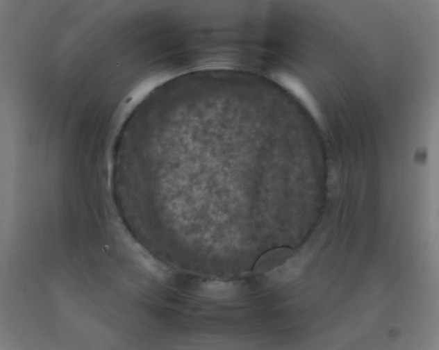 X0000092211419200709281013