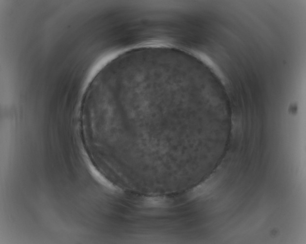 X0000092211421200709281013