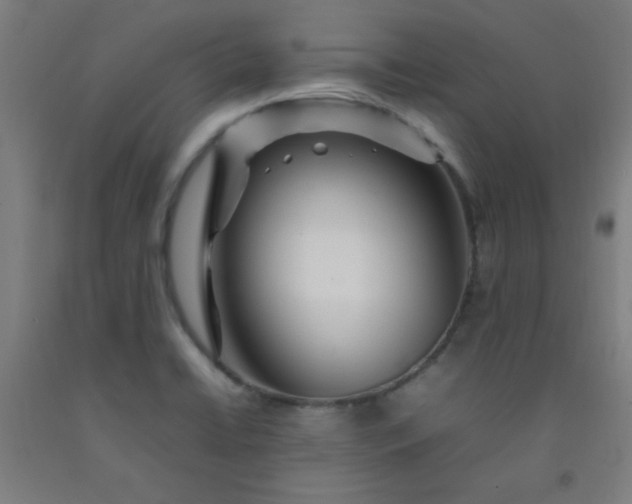 X0000092211422200709281013