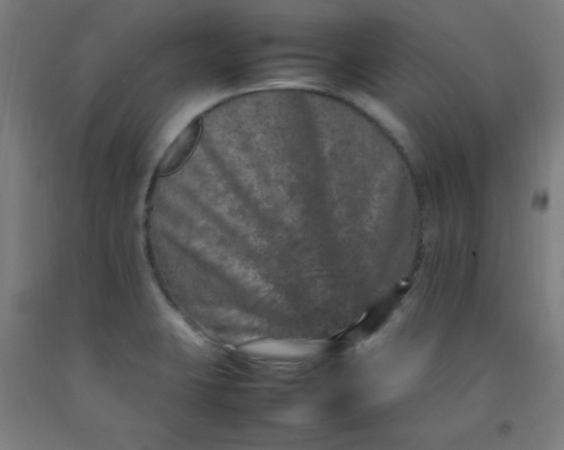 X0000092211423200709281013