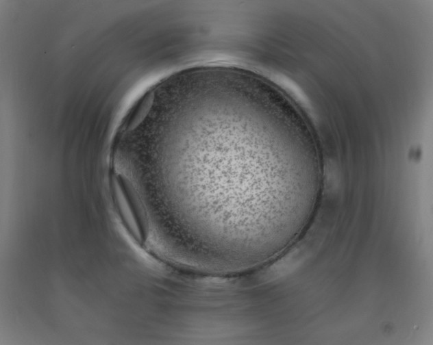 X0000092211424200709281013