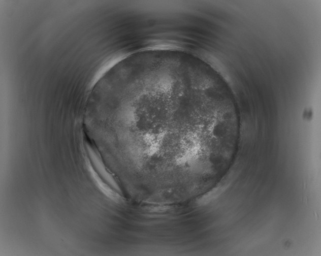 X0000092211425200709281013