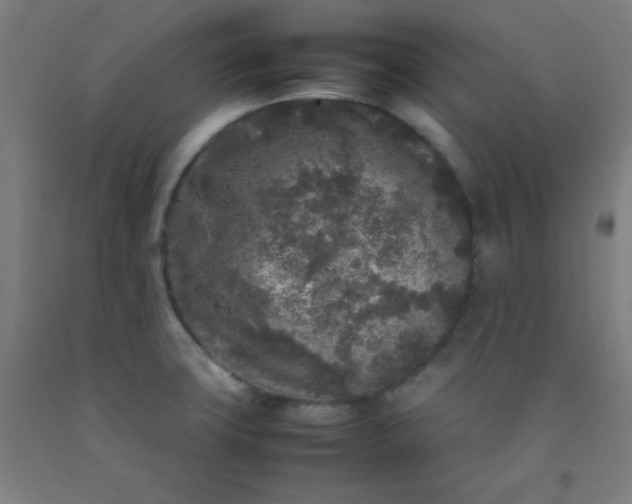 X0000092211427200709281013