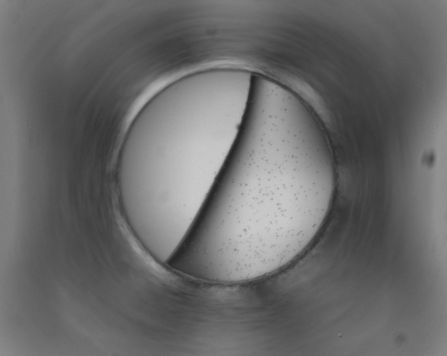 X0000092211428200709281013