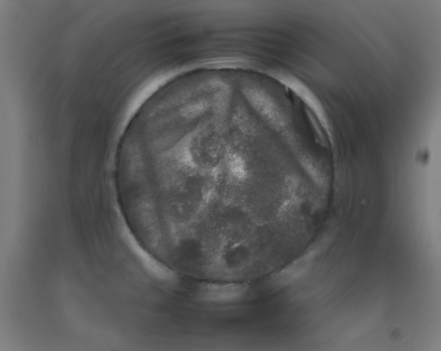 X0000092211429200709281013