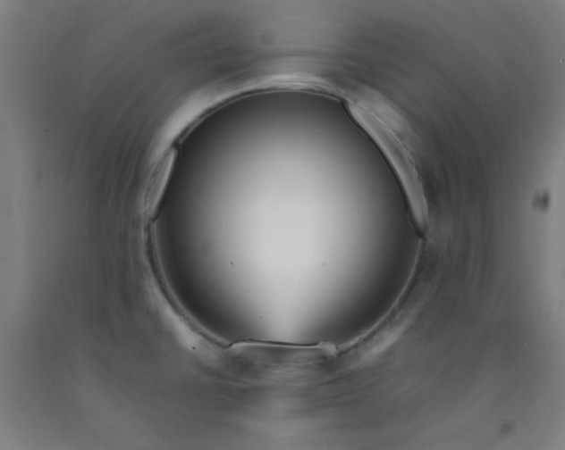 X0000092211430200709281013