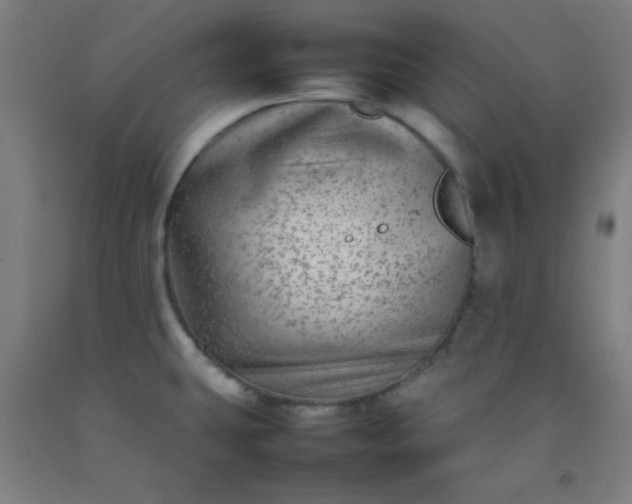 X0000092211431200709281013