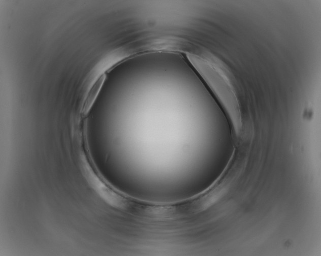 X0000092211434200709281014