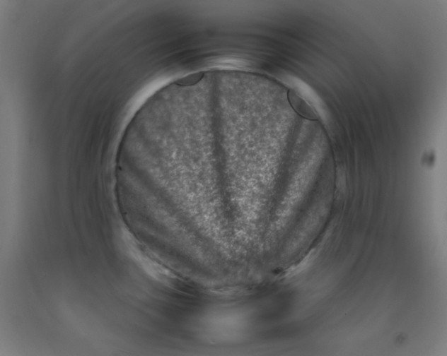 X0000092211435200709281014